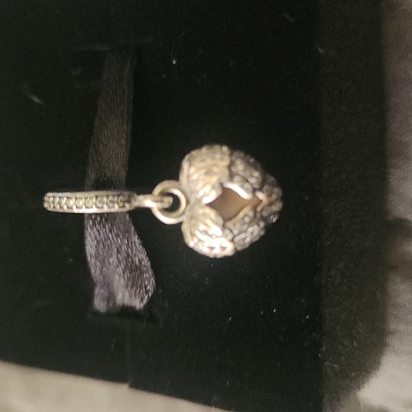 Pandora charm - Picture 2 of 3